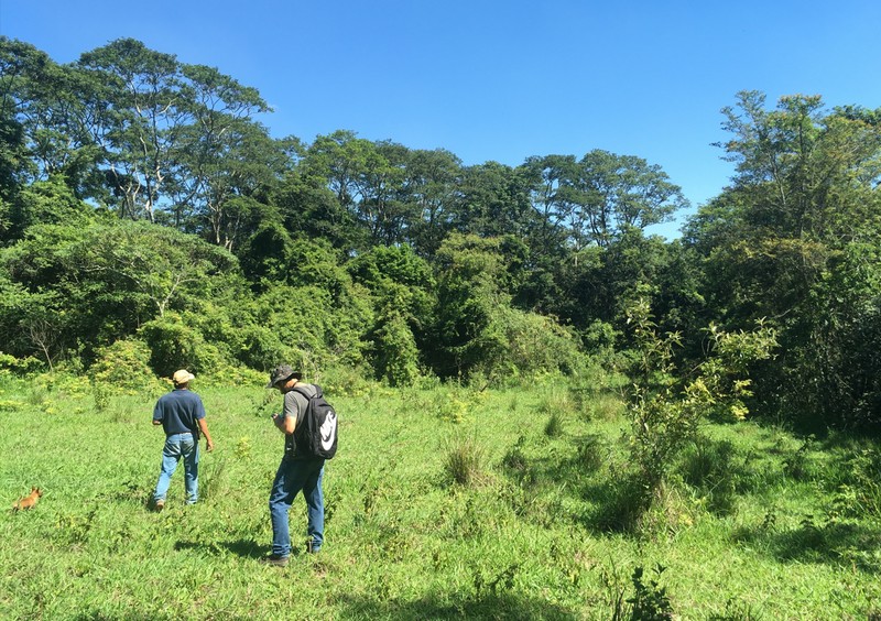 Grupo Soul: Excelência em Consultoria e Licenciamento Ambiental em Campinas