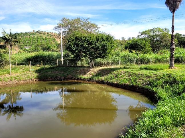 A Importância da Consultoria Ambiental em Campinas