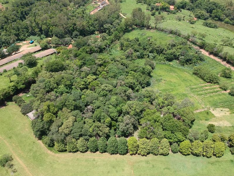 A Importância da Consultoria Ambiental em Campinas