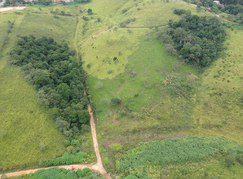 A Importância da Consultoria Ambiental em Campinas