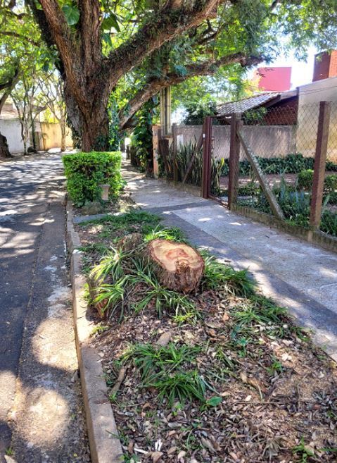 Tipologias de Licenças Ambientais Emitidas pela Secretaria do Clima, Meio Ambiente e Sustentabilidade - SECLIMAS de Campinas