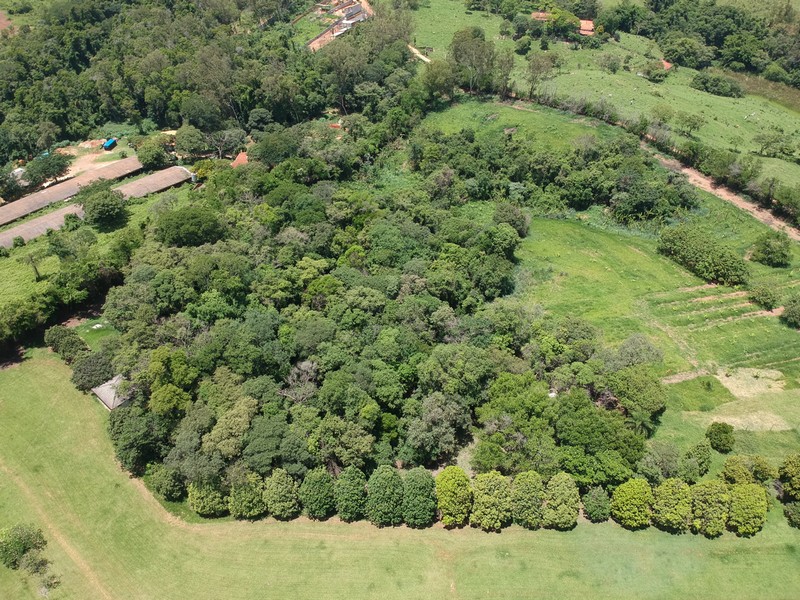 Tudo o Que Você Precisa Saber Sobre Autorização Ambiental